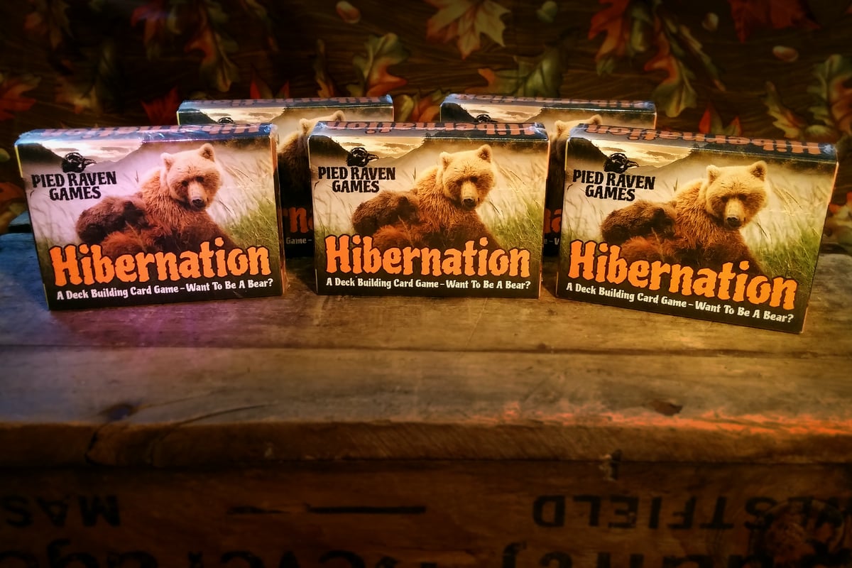 Image of Hibernation (x5 Copies)