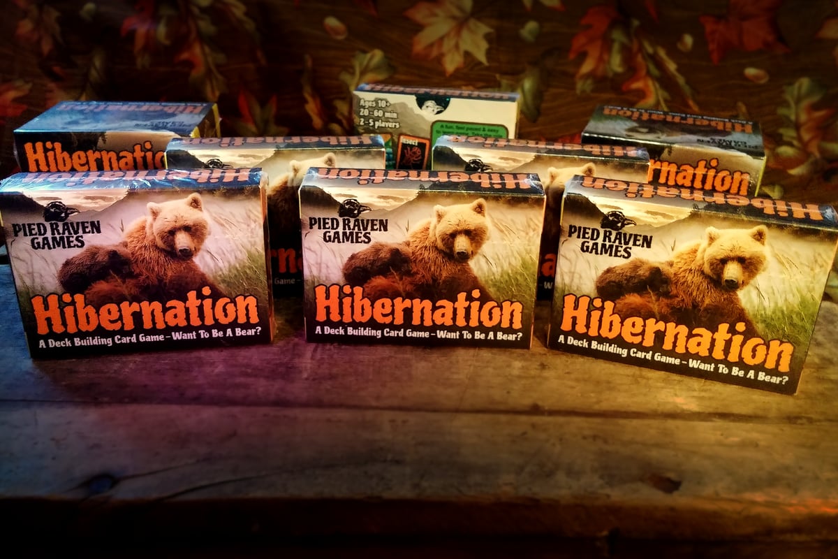 Image of Hibernation (x10 Copies) (Wholesale)