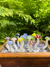 Image 3 of Mushroom Plant Ornaments 🍄 🪴 (UV reactive)