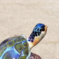 Image 3 of Hawaiian Green Sea Turtle paper weight