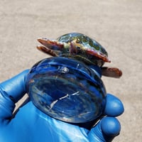 Image 4 of Hawaiian Green Sea Turtle paper weight