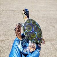 Image 5 of Hawaiian Green Sea Turtle paper weight