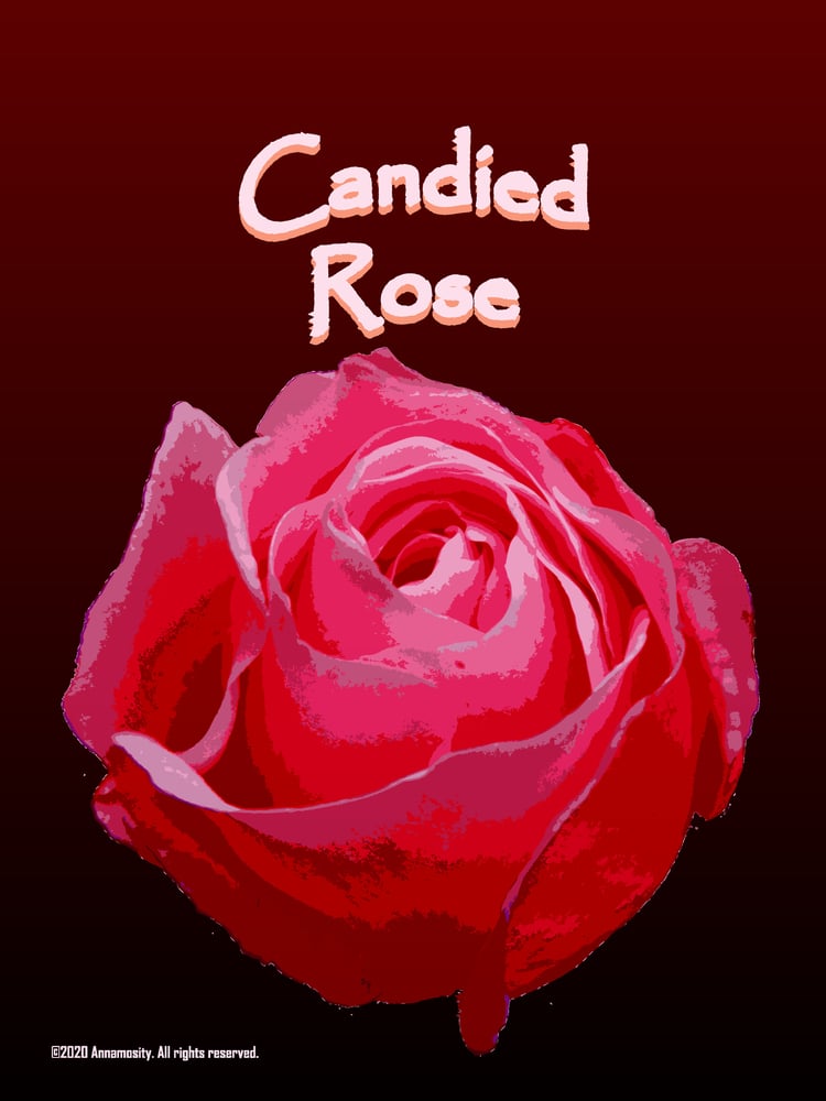 Image of Candied Rose - Lotion Bar