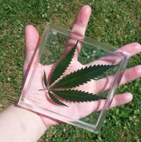 Pot Leaf Coaster