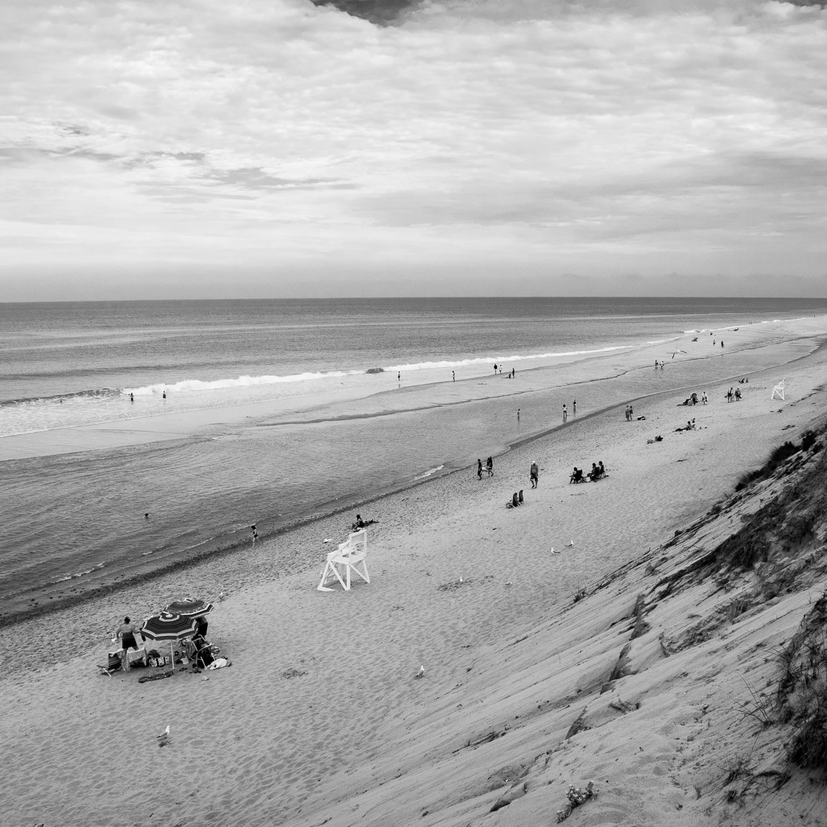 Image of Coastal Dunes 6755