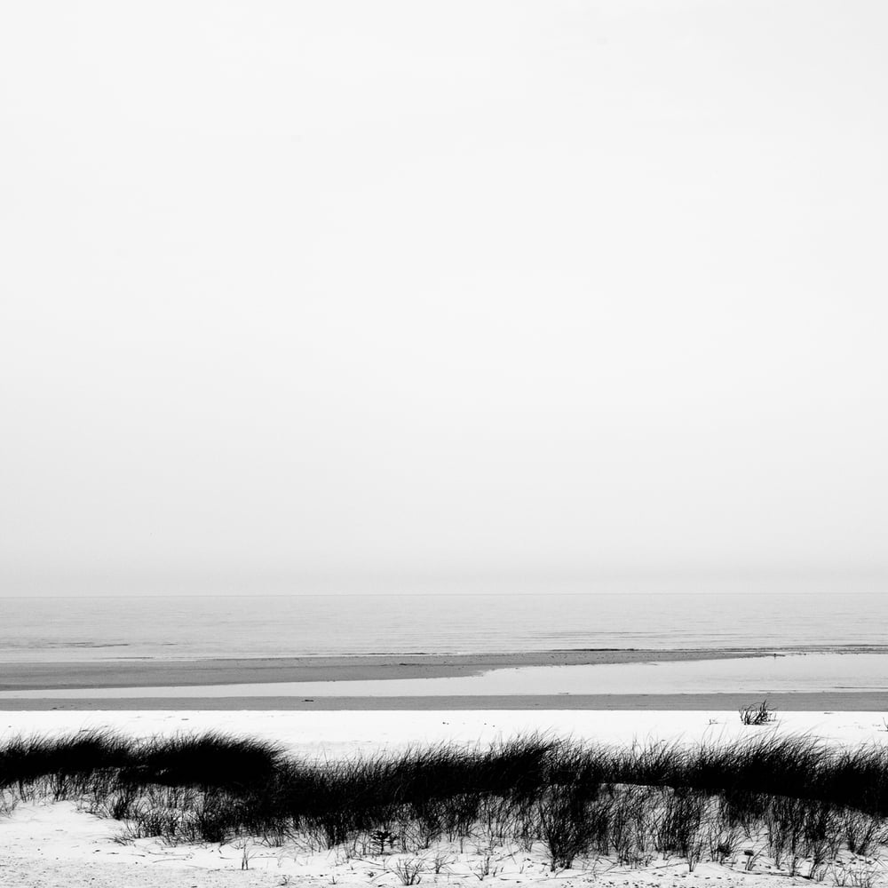 Image of Coastal Dunes 20