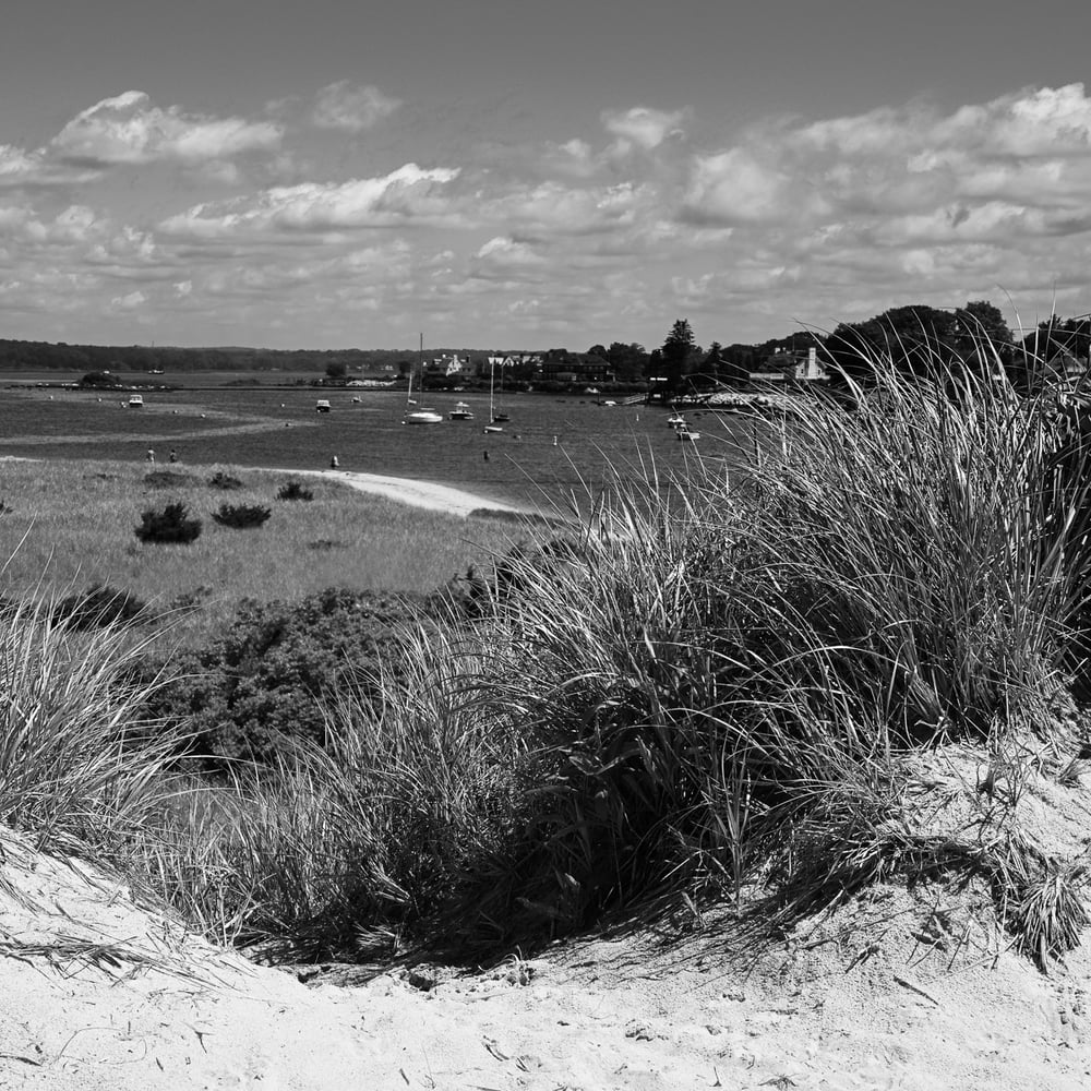 Image of Coastal Dunes 76