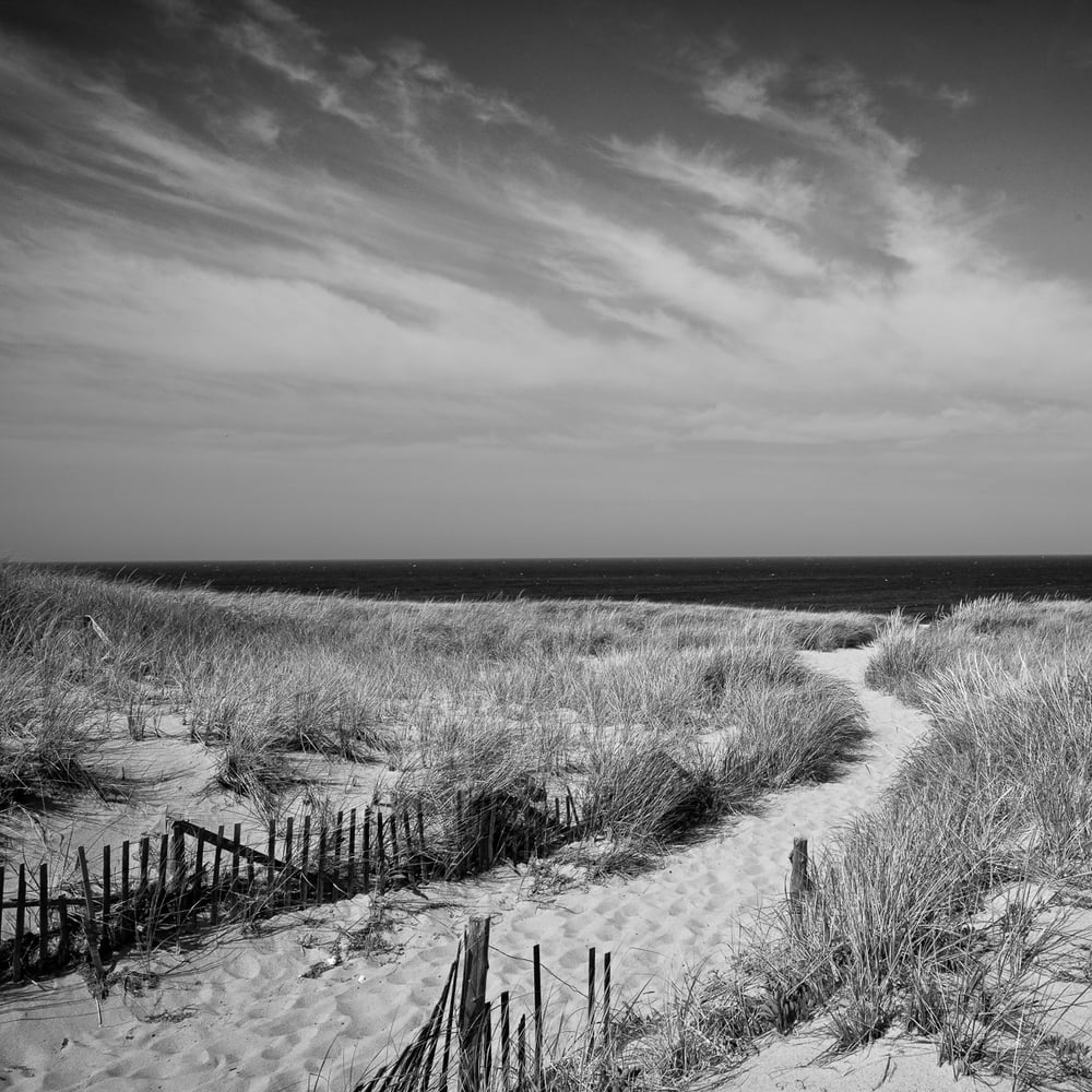 Image of Coastal Dunes 1210