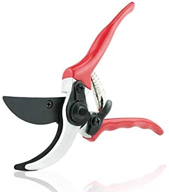 Image of Skye Services 8" Garden Pruners, Hand Shears, Tree Trimmer, Branch Cutter, SK-5 Steel