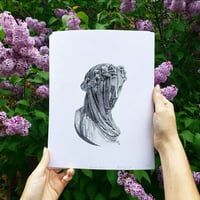 Image of "Veiled Lady" Prints