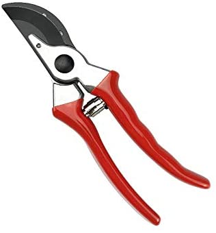 Image of Skye Services 8" Garden Pruners, Hand Shears, Tree Trimmer, Branch Cutter, SK-5 Steel