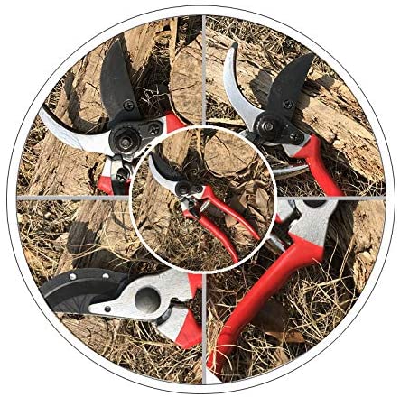 Image of Skye Services 8" Garden Pruners, Hand Shears, Tree Trimmer, Branch Cutter, SK-5 Steel