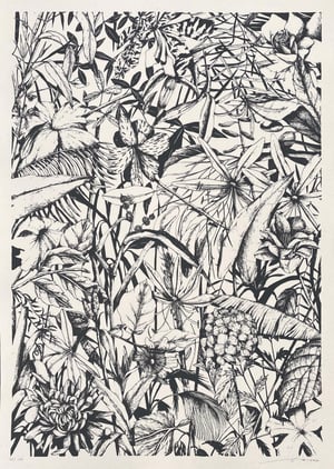 Image of TELLAS | Giardino Condiviso | Tav.1 + Tav.2 + Tav.3