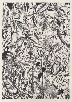 Image of TELLAS | Giardino Condiviso | Tav.1 + Tav.2 + Tav.3