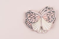 Image 3 of Pink Moth