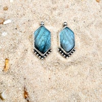 Image 1 of Lab earrings