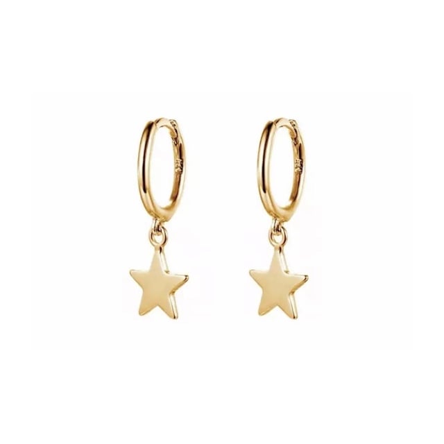 Image of Dainty Star Huggy Hoops