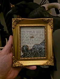 Image 1 of 1800's Biblical Page & Preserved Web with pressed spider