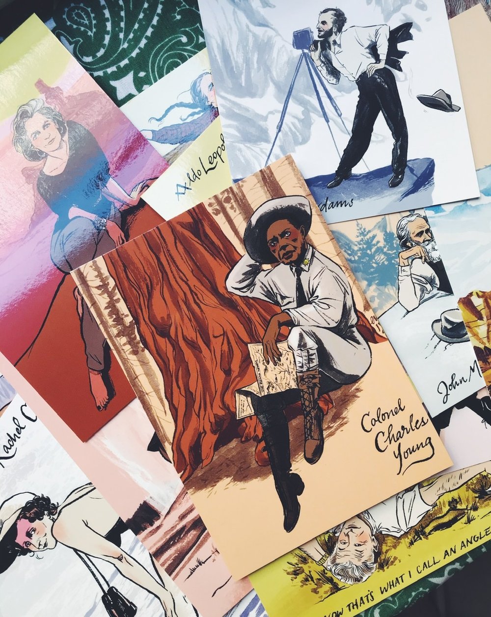 Image of Conservation Is Sexy Postcards