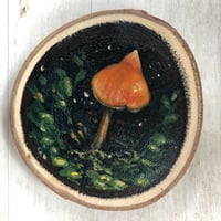 Image 1 of Salmon-colored Nolanea| Orignal Wood Slice Painting