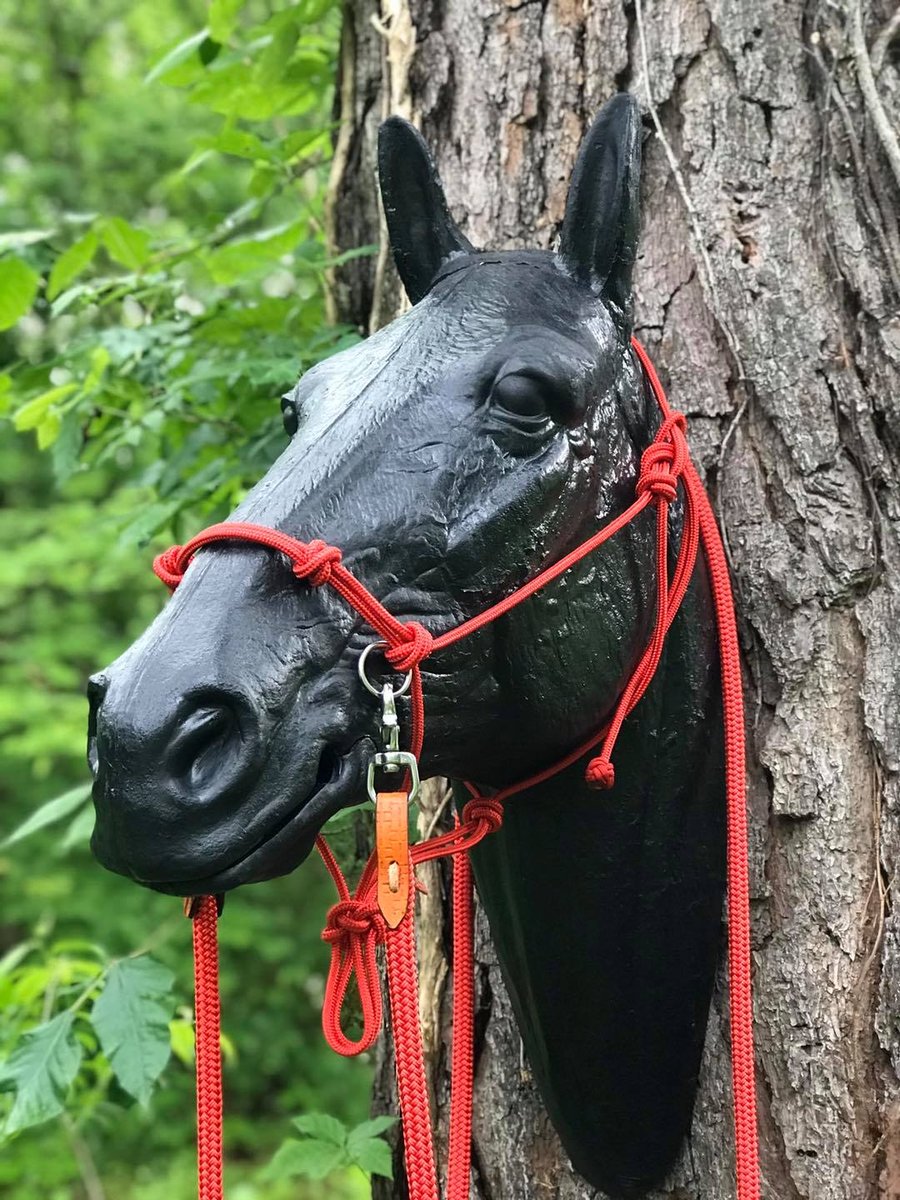 Bitless Riding/Sidepull Halters Rockin' Hollow Ranch Tack