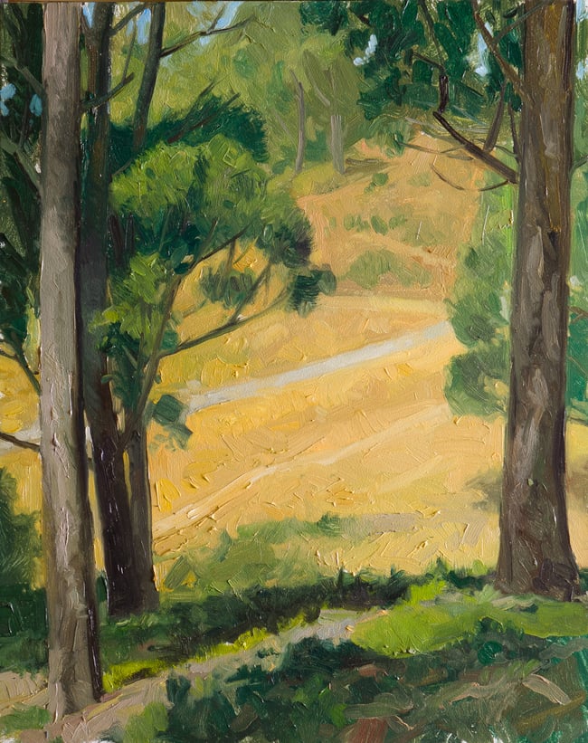 Between the Eucalyptus trees