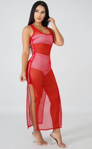 Image of Unconventional Mesh Dress 