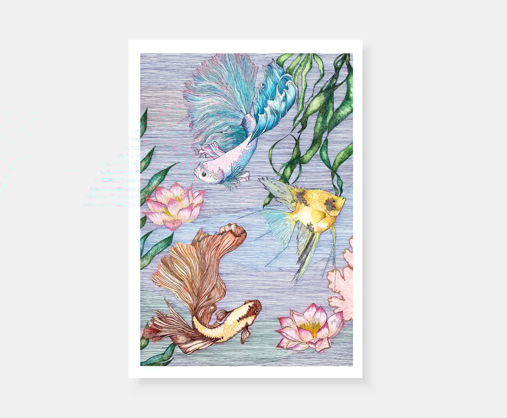 Image of The Water Garden II - Print