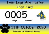 Four Legs Are Faster Than Two - 10 miles