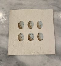 Image 3 of Eggs