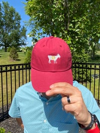 LeBron GOAT Hat