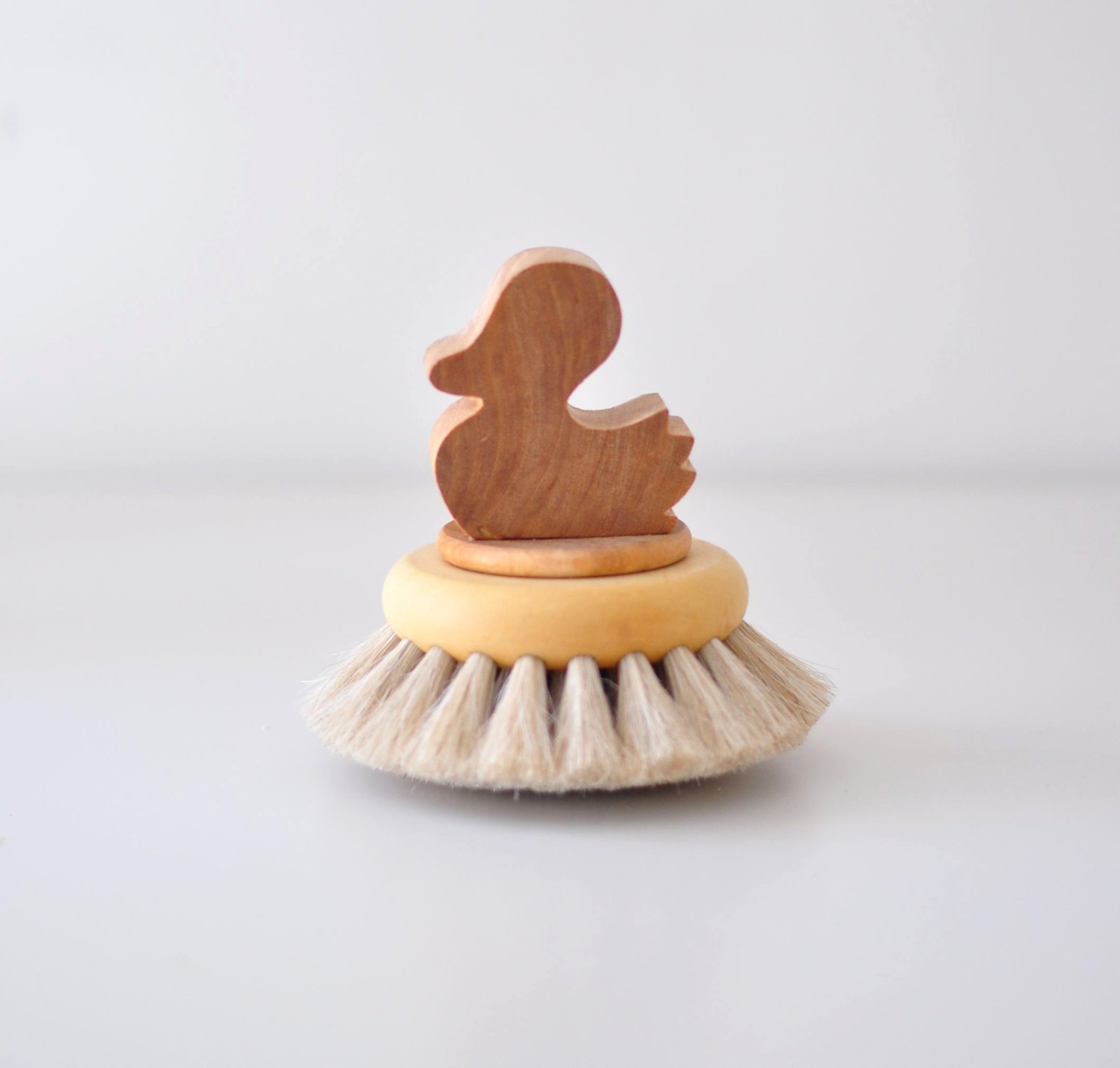 Canard souchet (Anas clypeata) - Brosse & Gondoire Nature