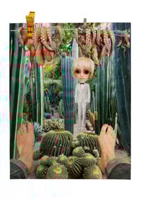 Always in Sharp focus  - Giclee Print edition of 20