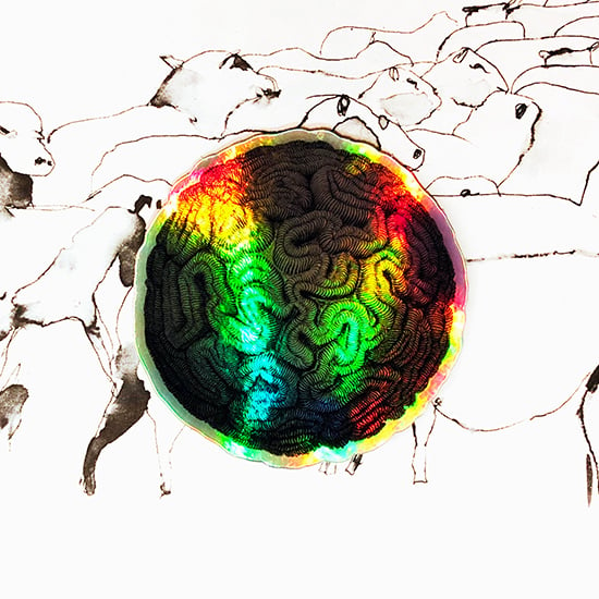 Image of Haeckel Brain Stone Iridescent Sticker