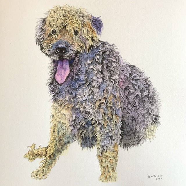 Image of Commission Guidelines