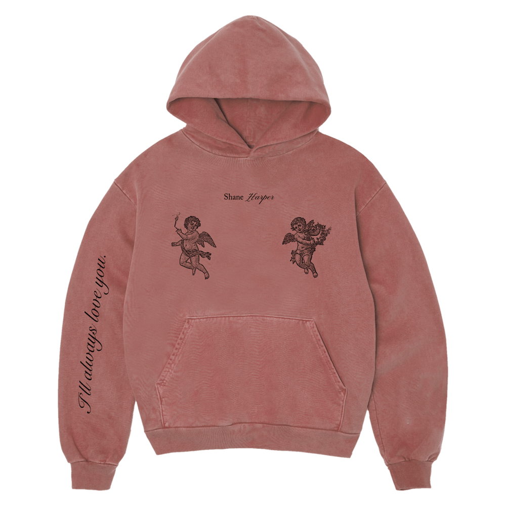 Image of ALY HOODIE