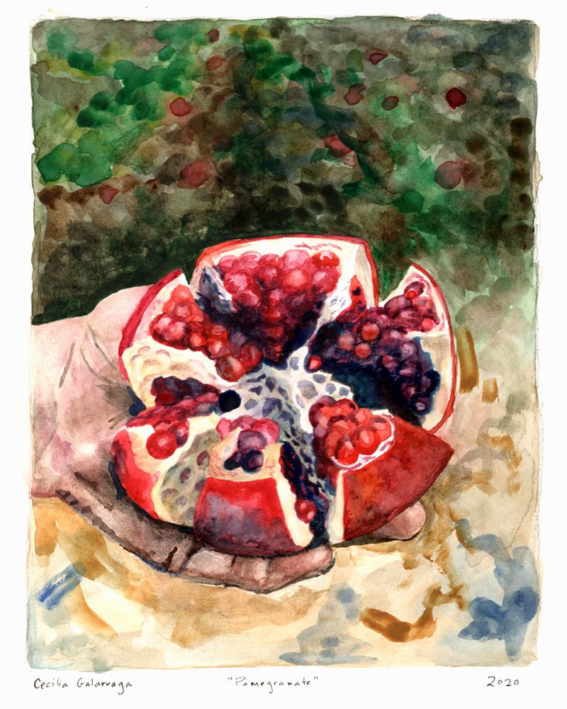 Image of Pomegranate - Cecilia Galarraga