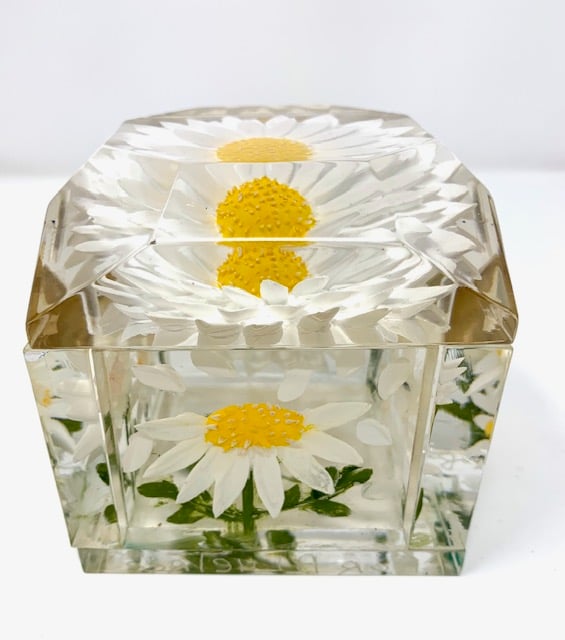 Image of Jumbo Mini Painted Daisy Box