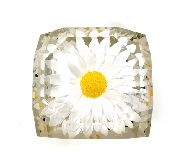 Image of Jumbo Mini Painted Daisy Box