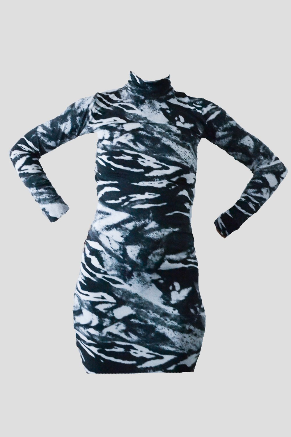 Image of Zebra Dress 