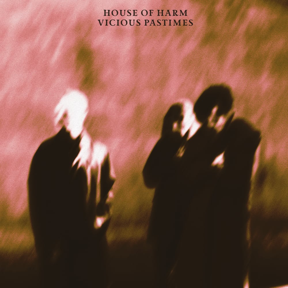 Image of HOUSE OF HARM - Vicious Pastimes LP