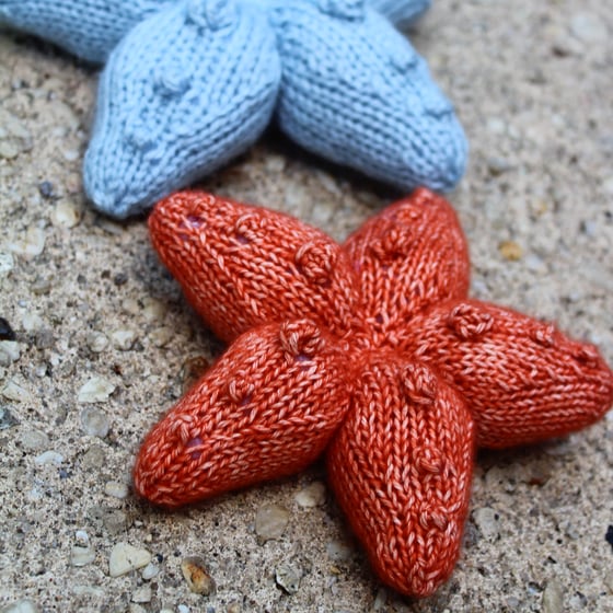 Image of Sea Star Knitting Pattern