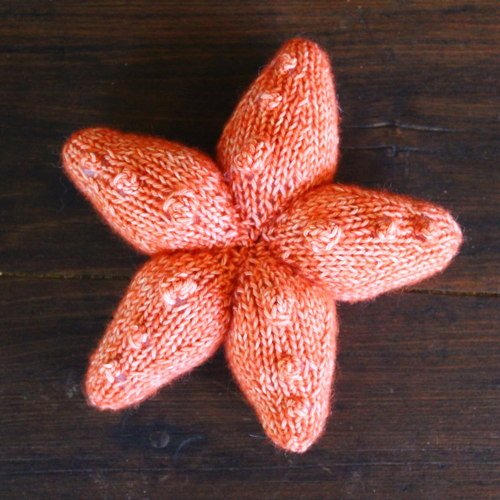 Image of Sea Star Knitting Pattern