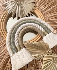 Image 1 of Ivy  Rainbow