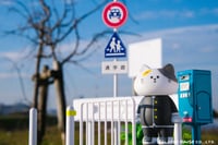 Image 5 of Good Day Neko San Blind Box Series 1 (Random)