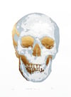 Memento Mori - 3