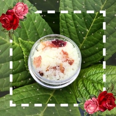 Image of Rose Petal Lip Scrub