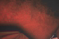 Image 3 of CARDINAL COPIA / GHOST