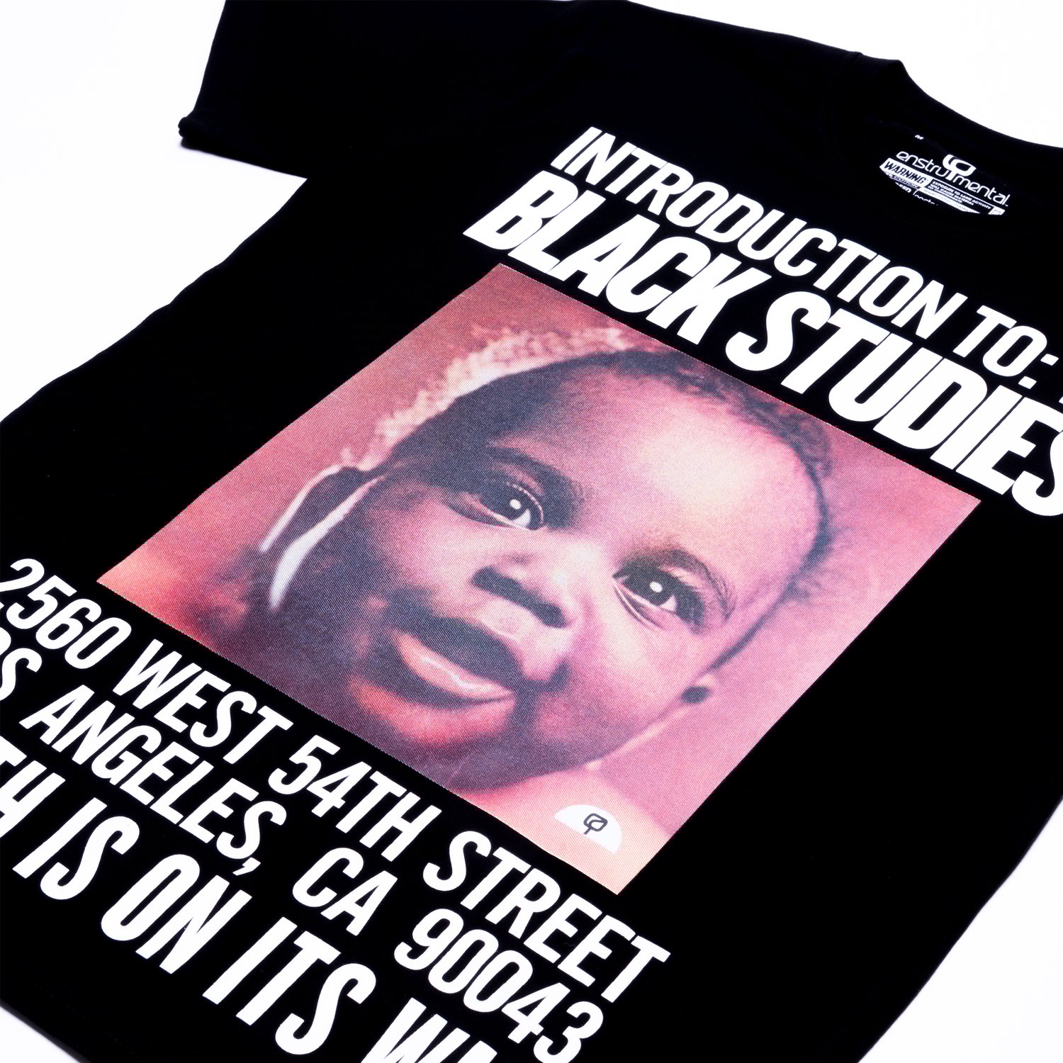 Image of INTRODUCTION TO BLACK STUDIES (SHORT SLEEVE)