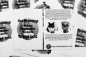 Zine: Cat Spotting: My Feline Encounters Archive - Issue 001 & 002